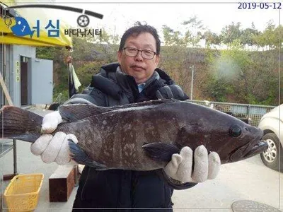 5월12일 어심바다낚시터조황 