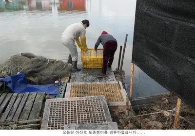 방류도하고 조황도 올리고....