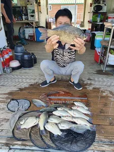 열대아??? 고삼지에서 시원한 낚시를.