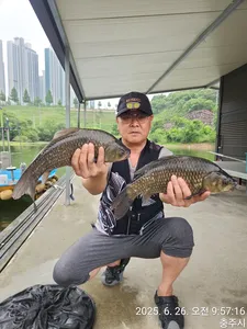 화곡낚시터 조황정보 