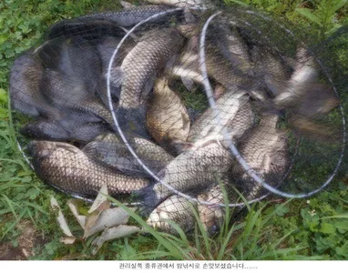 숨고르기 중인 신봉지 입니다....