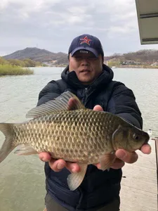 아산 명품 월랑낚시터 4월 네번째 조황이야기입니다...^^