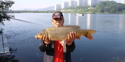 아산 명품 월랑낚시터 5월 마지막 조황이야기입니다...^^