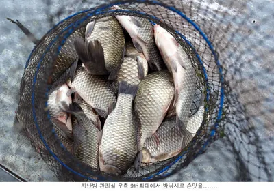 6월은 기대하셔도 좋을듯.....