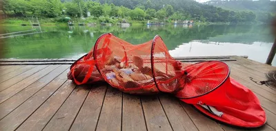 여름휴가철 피서 힐링 수곡낚시터 7월둘째주 금,토 조황 및 붕어 방류 안내