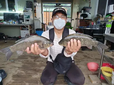 고삼지 물골자리 포인트 대박 예보