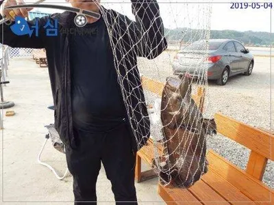   5월4일 어심바다낚시터조황 