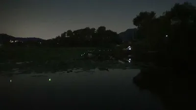 아산 명품 월랑낚시터 6월 세번째 조황이야기입니다...^^