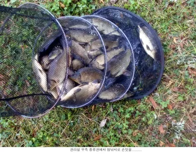 이제야 신봉지 다워집니다....