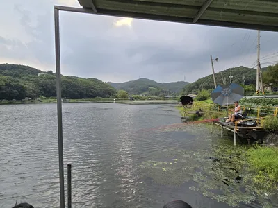 배수없는 항곡낚시터소식입니다.