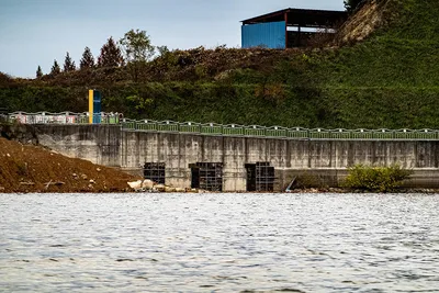 안성 두메낚시터 11월 23일 조황정보