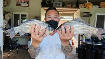 고삼지 양촌좌대는 꾸준히 관리중입니다!!