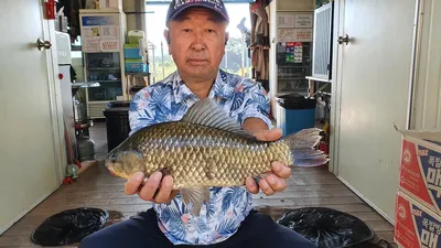 고삼지 상류권 연일 이어지는 사짜조황!!