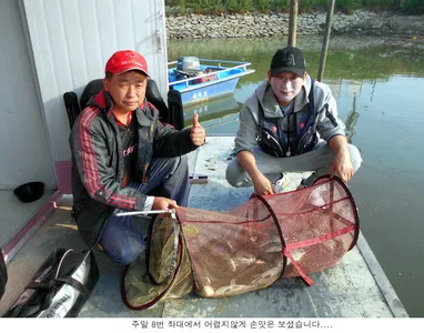 5월 세번째주말 신봉지 조황입니다...