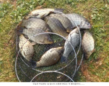 오늘은 투표하고 오세요.....