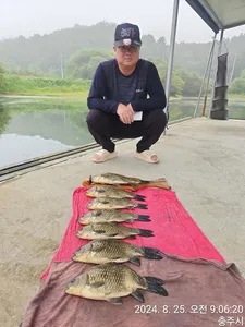 화곡낚시터 주말조황