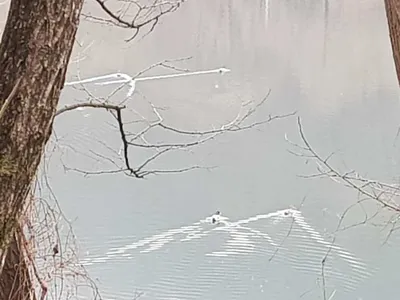 아름다운장계지에서