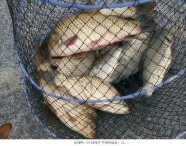 아쉬운 주말 조황입니다....