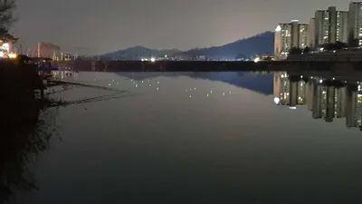 아산 명품 월랑낚시터 3월 두번째 조황이야기입니다...^^