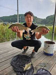 배수없는 항곡낚시터소식입니다.