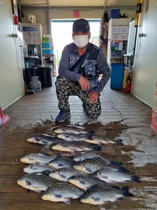 고삼지 막바지 봄시즌 타작들어갑니다.