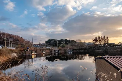 안성 두메낚시터 11월 28일 조황정보