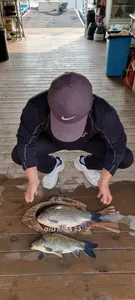 고삼지 시즌 막바지 주말조황입니다.