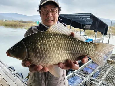 고삼지 상류권 덩어리 사짜 조황소식입니다.