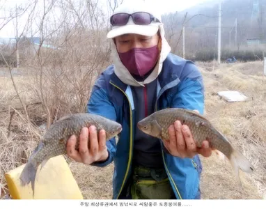 씨알좋은 토종붕어가 시원한 입질을해...