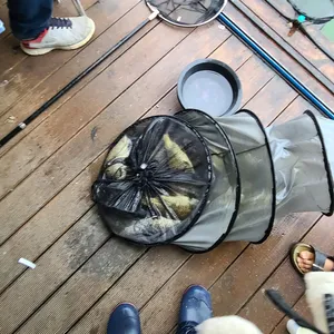 휴가철 붕어 피서낚시 수곡낚시터 주초 화요일 조황 및 방류안내