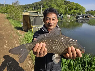 주중연휴 조황입니다.
