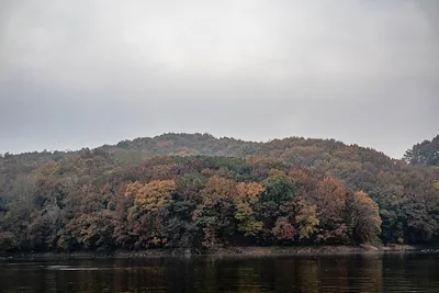 안성 두메낚시터 11월 8일 조황정보