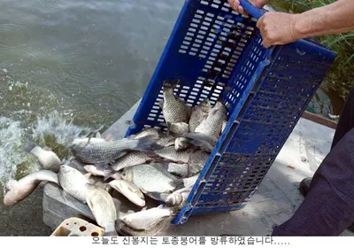 신봉지 방류도하고 조황도 올리고....