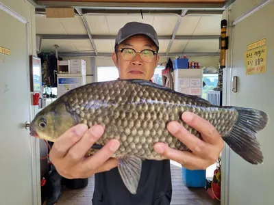 고삼지 상류권 사짜붕어 조황입니다.