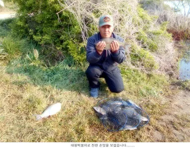 산란중에도 씨알급 붕어들이....