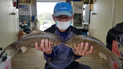 고삼지 상류권 본격산란중!! 사짜붕어 조황