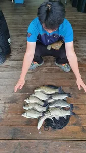 고삼지 가을 스타트 조황알림