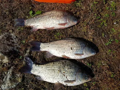 아름다운장계지에서