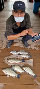 고삼지 다시 시작된 사짜조황!!