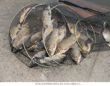 이번에 내린비는 보약입니다.....