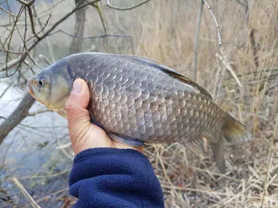 아름다운장계지에서