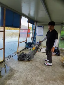 수곡낚티서 노지 좌대낚시 일요일도 고른 조황이 나와줍니다