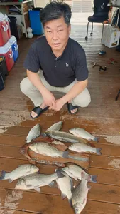 고삼지 붕어 열일중 입니다.