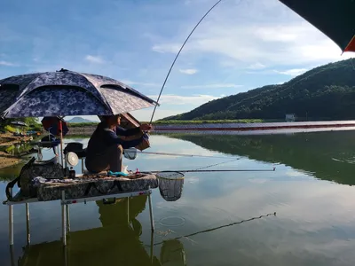 장계낚시터주말조항