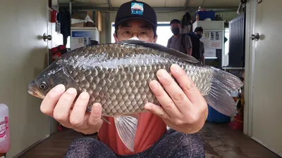 고삼지 가을 막바지 화려한 시즌조황입니다.