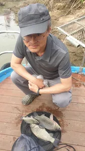 고삼지 아쉽기만한 덩리어들!!