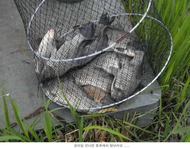 이곳은 이제부터 시작입니다...