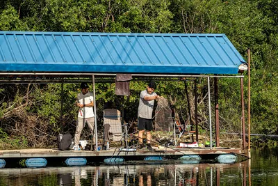 안성 두메낚시터 7월 31일 조황정보