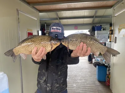 고삼지 상류포인트 시원한 쌍 사짜붕어 !!