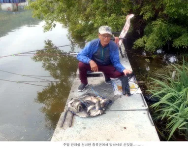 황금연휴 조황도 황금 조황입니다....